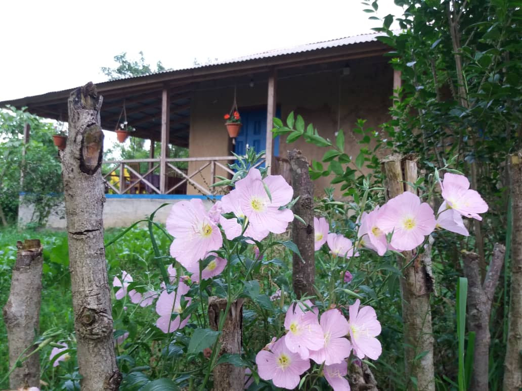 اقامتگاه بوم گردی خونه خورشید تنکابن