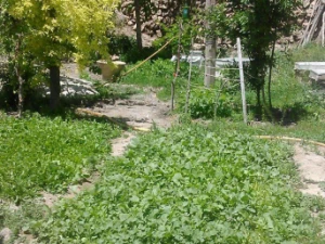 اقامتگاه بوم گردی سهرورد زنجان