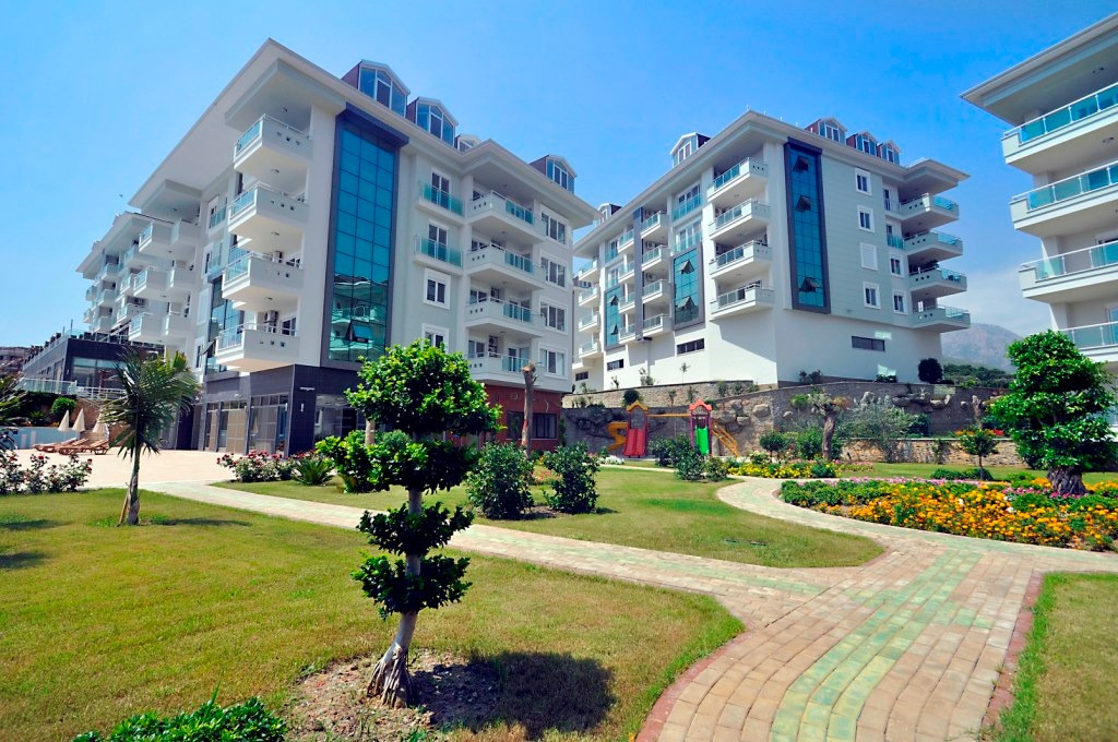 آپارتمان یک خوابه شماره 1 مجتمع اولیو سیتی 