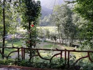 ویلا یک خواب در شاندرمن گیلان ویلا یک خواب در شاندرمن گیلان