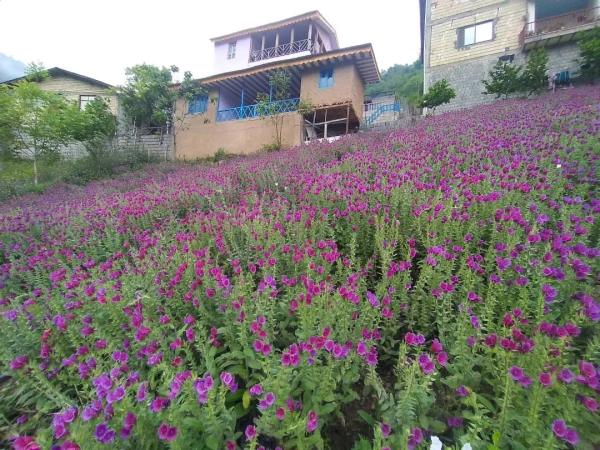 اقامتگاه یک خوابه آبشار تفریحی میلاش اقامتگاه یک خوابه آبشار تفریحی میلاش