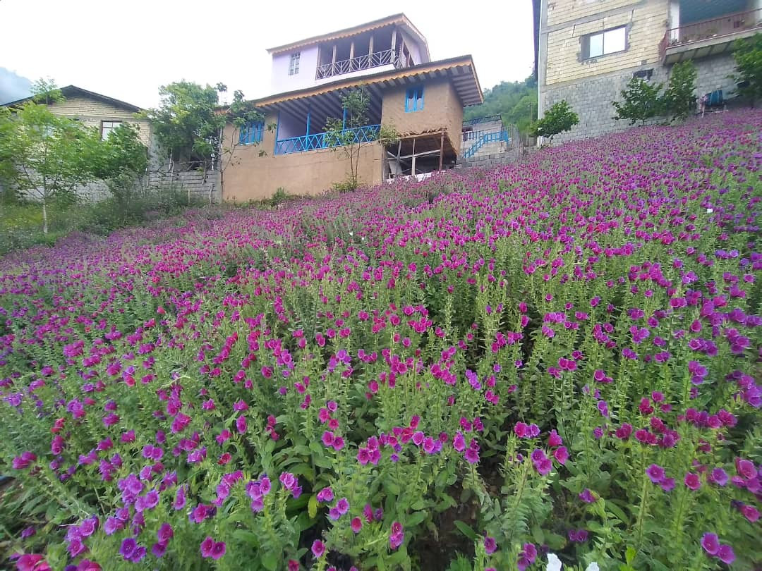 اقامتگاه دو خوابه آبشار تفریحی میلاش