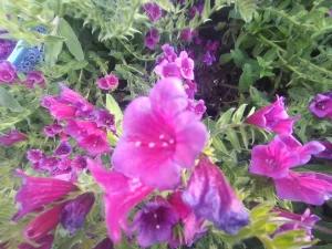 اقامتگاه دو خوابه آبشار تفریحی میلاش اقامتگاه دو خوابه آبشار تفریحی میلاش