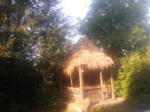 ویلا رودخانه کنار لاهیجان ویلا رودخانه کنار لاهیجان