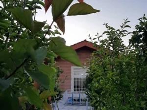 ویلا باغ شهرام ویلا باغ شهرام