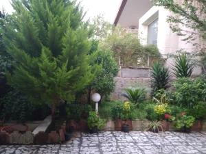 آپارتمان بنفشه 2 در چالوس آپارتمان بنفشه 2 در چالوس