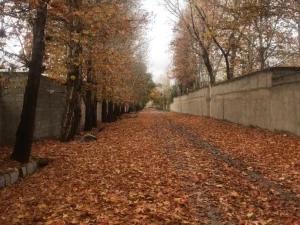 ویلا باغ چنار چهار باغ کرج ویلا باغ چنار چهار باغ کرج