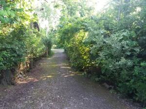 ویلا یک خوابه در لاهیجان ویلا یک خوابه در لاهیجان