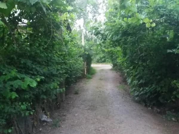 ویلا یک خوابه در لاهیجان ویلا یک خوابه در لاهیجان