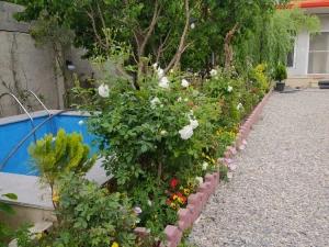 ویلا یک خوابه استخردار یک در کوهسار ویلا یک خوابه استخردار یک در کوهسار