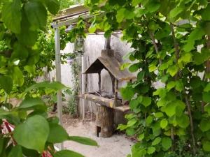 ویلا یک خوابه استخردار یک در کوهسار ویلا یک خوابه استخردار یک در کوهسار