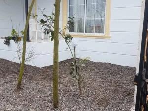 ویلا ساحلی در زیبا کنار 2 ویلا ساحلی در زیبا کنار 2