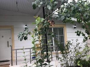 ویلا ساحلی در زیبا کنار 2 ویلا ساحلی در زیبا کنار 2