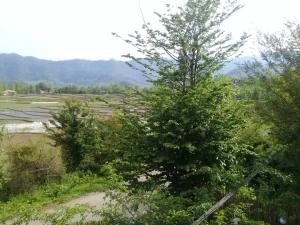 ویلا سه خوابه در ماسال ویلا سه خوابه در ماسال