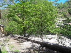 ویلا دو خوابه در ماسال 7 ویلا دو خوابه در ماسال 7