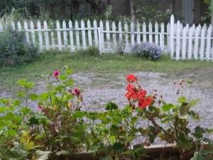 ویلا شکوری در قلعه رودخان ویلا شکوری در قلعه رودخان