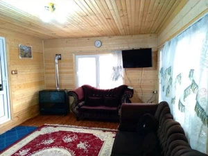 کلبه جنگلی اسب ریسه ماسال کلبه جنگلی اسب ریسه ماسال