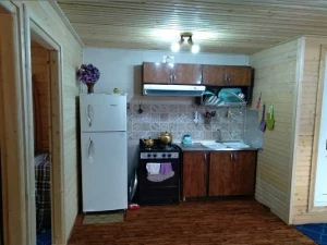 کلبه جنگلی اسب ریسه ماسال کلبه جنگلی اسب ریسه ماسال