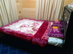 کلبه جنگلی اسب ریسه ماسال کلبه جنگلی اسب ریسه ماسال