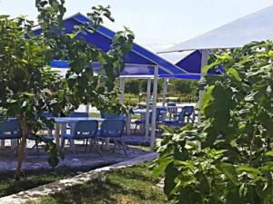 هتل جهانگردی فسا هتل جهانگردی فسا