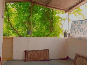 سوئیت آپارتمان در آزادشهر سوئیت آپارتمان در آزادشهر