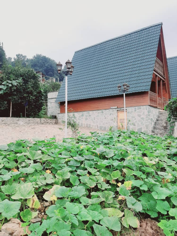 کلبه چوبی الیزه سوئیسی دو