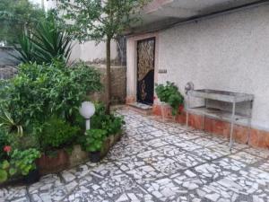 آپارتمان بنفشه 1 در چالوس آپارتمان بنفشه 1 در چالوس