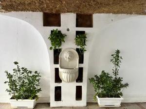 آپارتمان بوتیک ۲ در کیش آپارتمان بوتیک ۲ در کیش