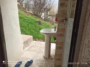 سوییت جنگلی قربانی توتکابن سوییت جنگلی قربانی توتکابن