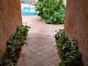 اقامتگاه بوم گردی نیمروز سروستان اقامتگاه بوم گردی نیمروز سروستان