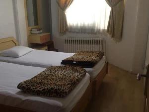 هتل آپارتمان ساحل مشهد هتل آپارتمان ساحل مشهد