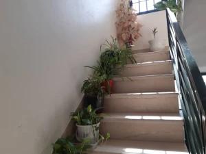 راه پله خانه امیر شیراز راه پله خانه امیر شیراز