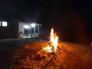 اقامتگاه بوم گردی لوتک تیار اقامتگاه بوم گردی لوتک تیار