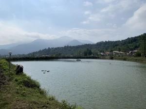 ویلا دوبلکس جنگلی ماسال ویلا دوبلکس جنگلی ماسال