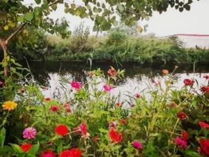 ویلای روخان بندرانزلی ویلای روخان بندرانزلی