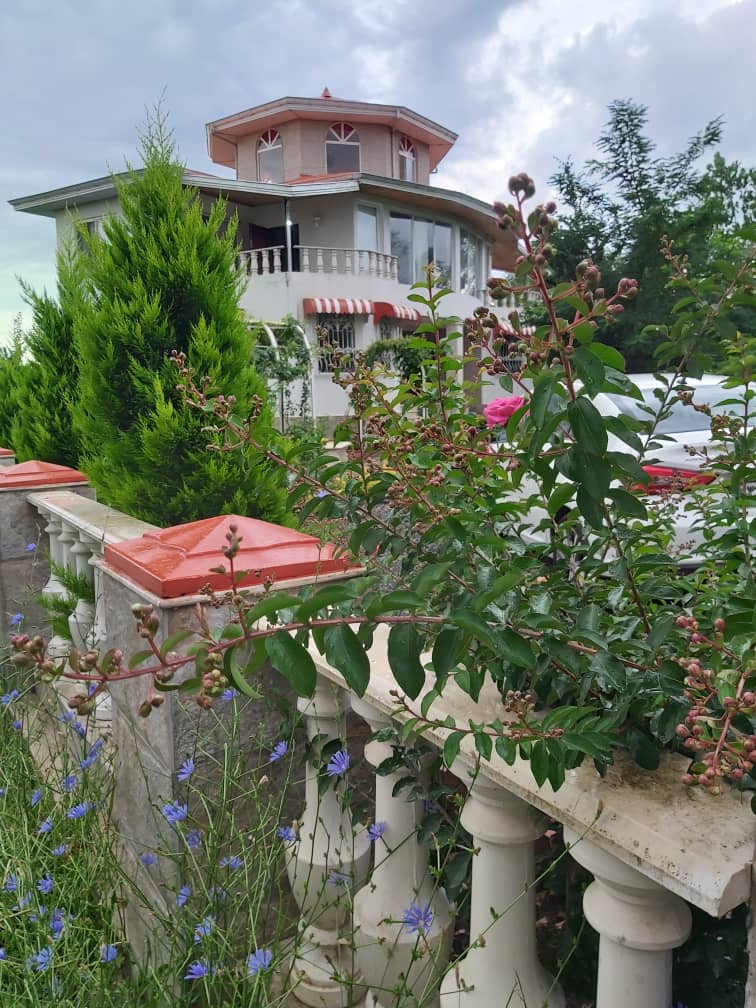 اسپینازویلا یک تالش