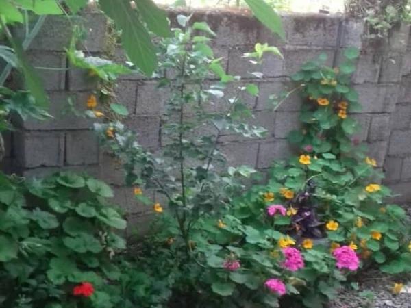 سوئیت آپارتمان تالش 3 سوئیت آپارتمان تالش 3