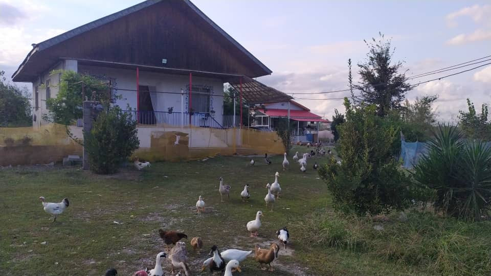 ویلا یک خوابه روستایی لاهیجان