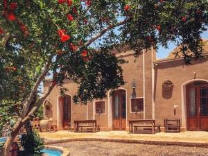 اقامتگاه بوم گردی سرو کهن ابرکوه اقامتگاه بوم گردی سرو کهن ابرکوه