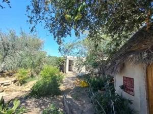 بوم گردی باغ آیین های زینت قشم بوم گردی باغ آیین های زینت قشم