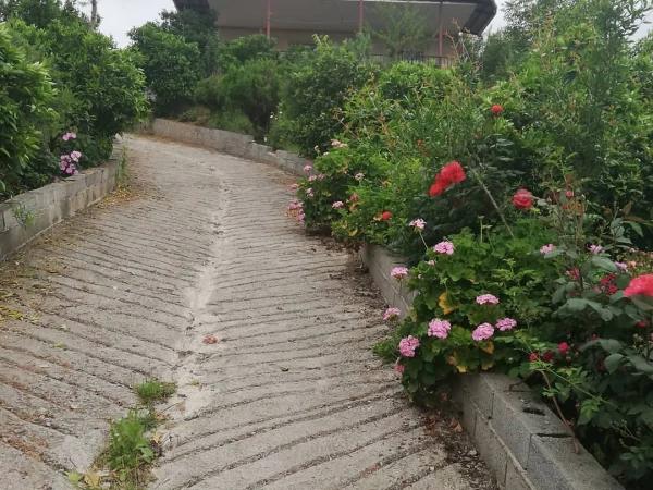 ویلا دنج هزارون قائمشهر ویلا دنج هزارون قائمشهر