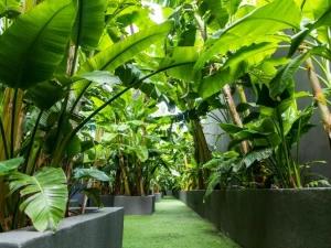 هتل مکس رویال کمر ریزورت کمر آنتالیا هتل مکس رویال کمر ریزورت کمر آنتالیا