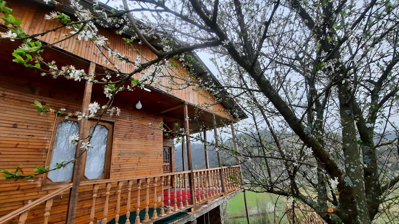 کلبه باغ ونوشه شیرگاه