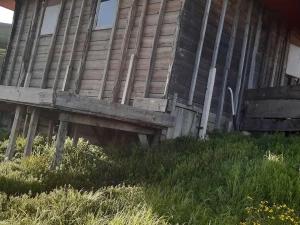 کلبه بردیا ماسال کلبه بردیا ماسال