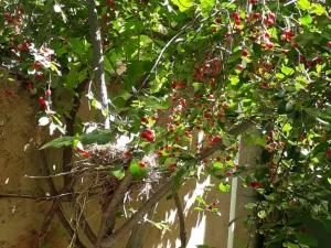 بوم گردی موریکش سپیدان بوم گردی موریکش سپیدان