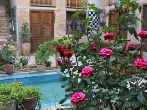 اقامتگاه بوم گردی آنا شیراز اقامتگاه بوم گردی آنا شیراز