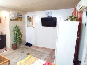 سوئیت نقلی دربست دانش کاشان سوئیت نقلی دربست دانش کاشان