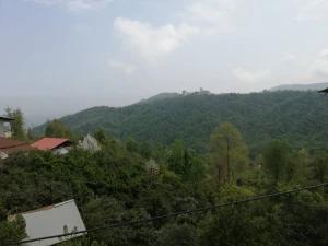 ویلا دو خوابه ضرغام جنگل دالخانی ویلا دو خوابه ضرغام جنگل دالخانی