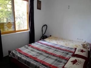 سوئیت آپارتمان یک خوابه سی سنگان سوئیت آپارتمان یک خوابه سی سنگان