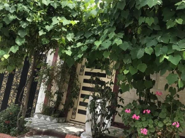 سوئیت ساحلی فریدونکنار سوئیت ساحلی فریدونکنار